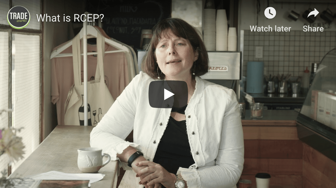 Fiona Cooper explaining RCEP