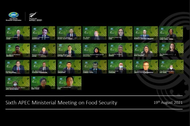 APEC BUSINESS ADVISORY COUNCIL  REMARKS TO THE APEC MINISTERIAL MEETING ON FOOD SECURITY