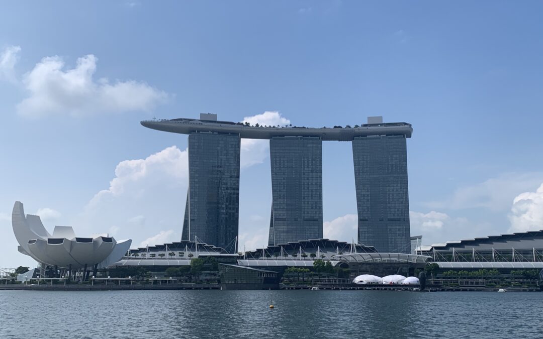 SINGAPORE AND NEW ZEALAND – A MOST “FTA-ed” RELATIONSHIP