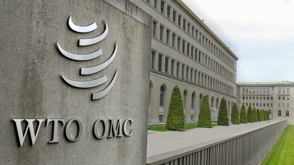 To go or woe with the WTO?